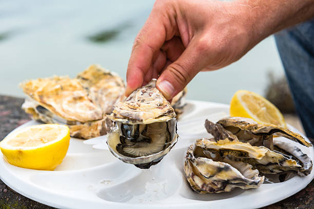 istock Male hand holding oysters 514938668