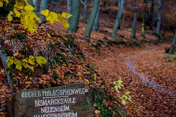 Philosophenweg (Philosophers' way) in Heidelberg, Germany