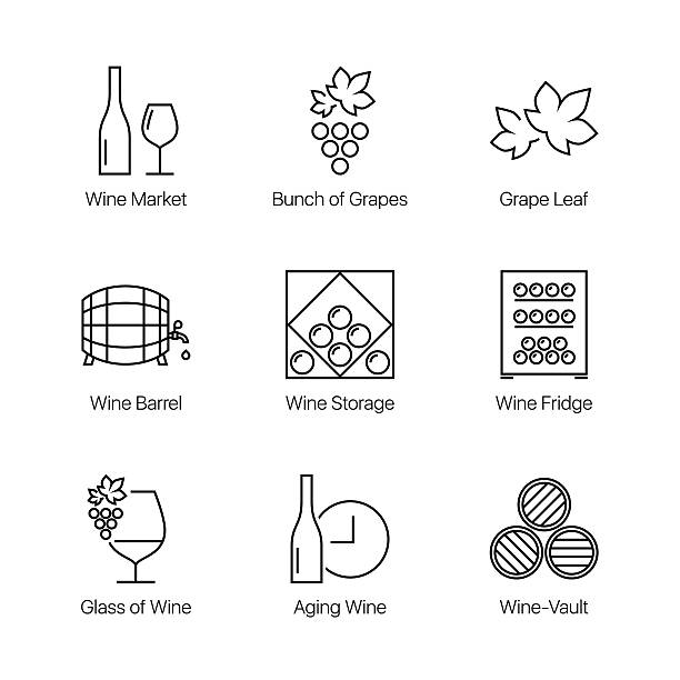 ilustrações de stock, clip art, desenhos animados e ícones de conjunto de vinhos ícones de linha - wine cellar wine bottle grape