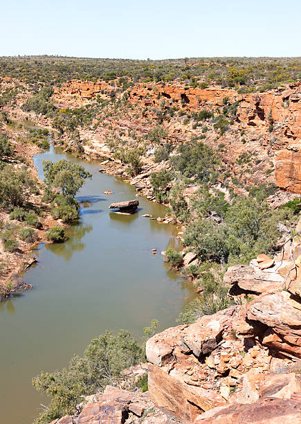 istock Ross Graham Lookout 514942594