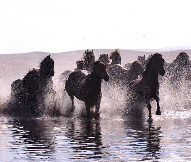 istock Morning of The Ulan integration grassland 514963583