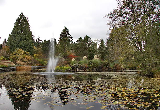 istock Van Dusen park fountain 514967073