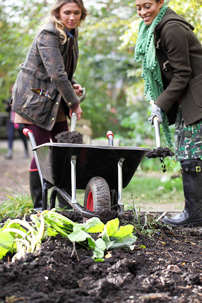 istock female friends gardening 514967329