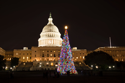 Christmas tree in front of the Capitol building. Washington DC.