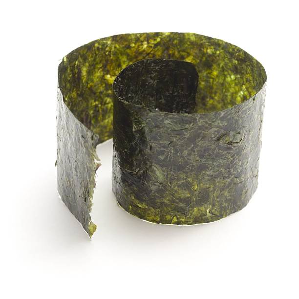 Nori strip edible seaweed coiled Nori strip(edible seaweed) rolled and isolated on a white background. nori edible seaweed sheet stock pictures, royalty-free photos & images