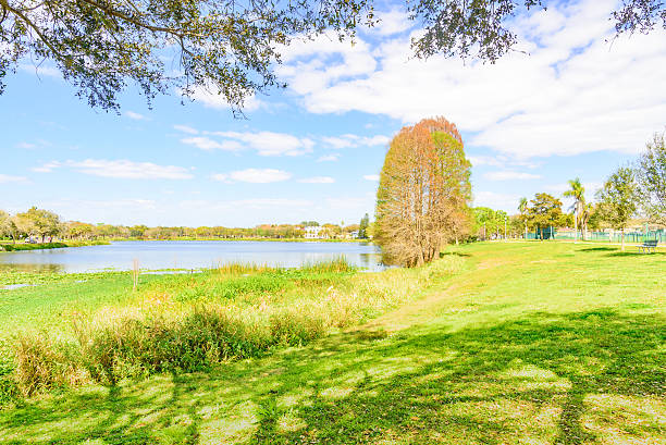 istock Lake park on the blue sky in the spring 514984316