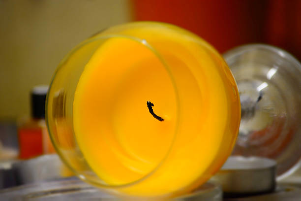 A beeswax candle on its side with candle making eqipment in the background.