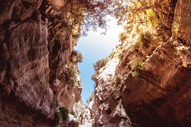 Avakas Gorge. Paphos District, Cyprus.