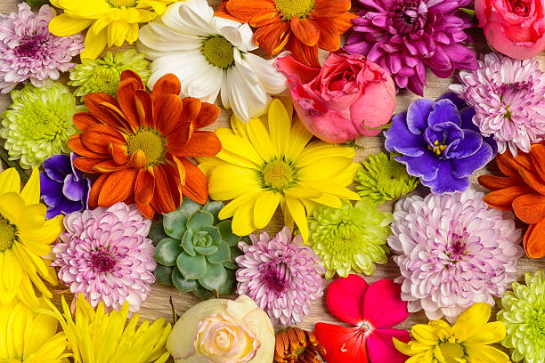 istock Flowers on wooden table 514987982