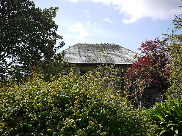 istock House surronded by trees and little birds 514988156