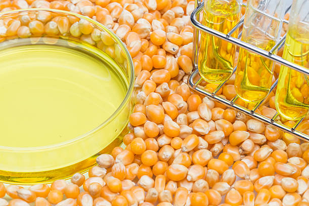 istock Research corn energy, biofuel and gmo in laboratory 514988842