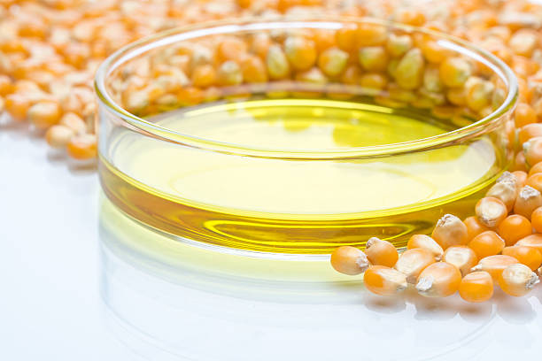 istock Research corn energy, biofuel and gmo in laboratory 514988902