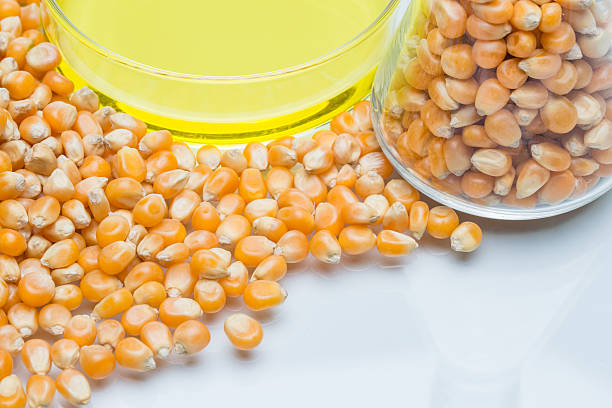 istock Research corn energy, biofuel and gmo in laboratory 514989044