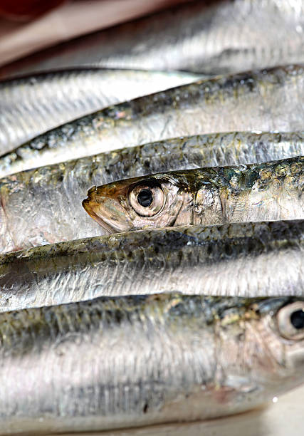 istock Close Up of Raw Bluetailed Fish 514989151