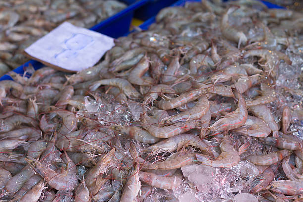 istock raw squid in seafood market 514990432