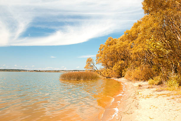istock golden autumn on the lake. 514990489