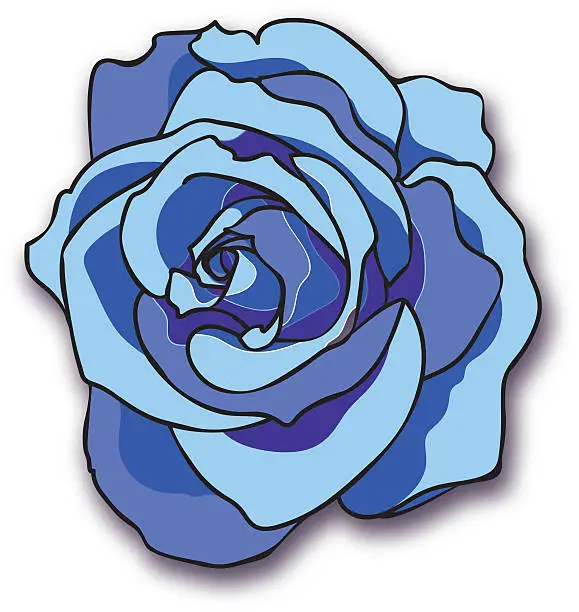 Vector illustration of Blue Rose