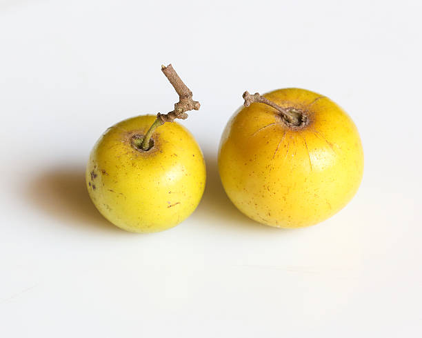 istock Ziziphus jujube Chinese date 514991238
