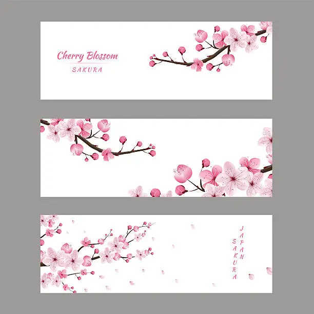 Cherry Blossom for Japan .ai Royalty Free Stock SVG Vector