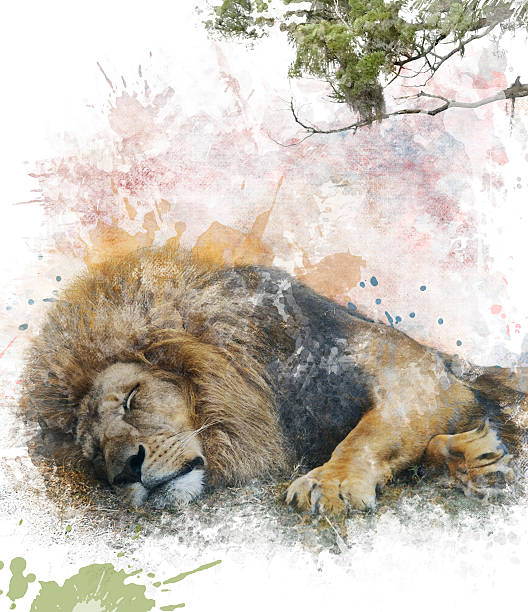 istock Watercolor Image Of  Sleeping Lion 514992351