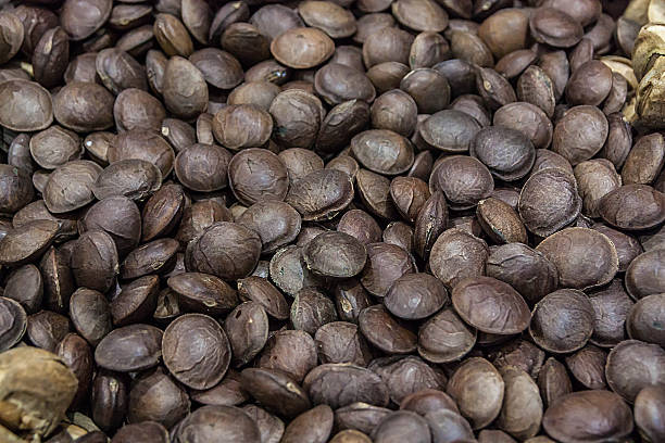 imagem de sacha inchi sementes de amendoim - lpn imagens e fotografias de stock