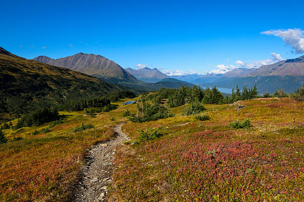 On the Lost Lake Trail, Seward, Alaska