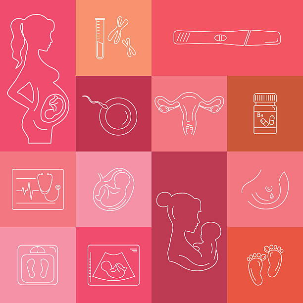 의학 및 임신 벡터 꺾은선형 아이콘크기 - human fertility artificial insemination embryo human egg stock illustrations