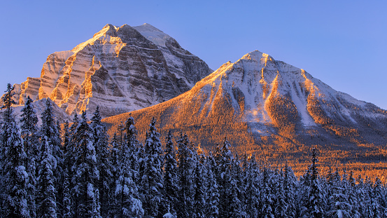 This picture was taken in Banff National Park, Canada. The tops of the mountains were lightened by  the light of sun. Enjoy the golden moment. 