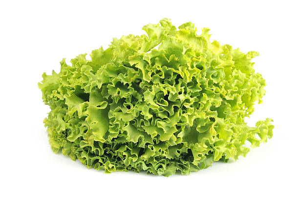 istock Green bunch of salad leafs. Lettuce 514998638