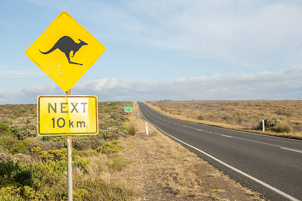 Kangaroo warning sign Kangaroo warning sign on the Great Ocean Road, Victoria's state of Australia. kangaroo crossing sign stock pictures, royalty-free photos & images