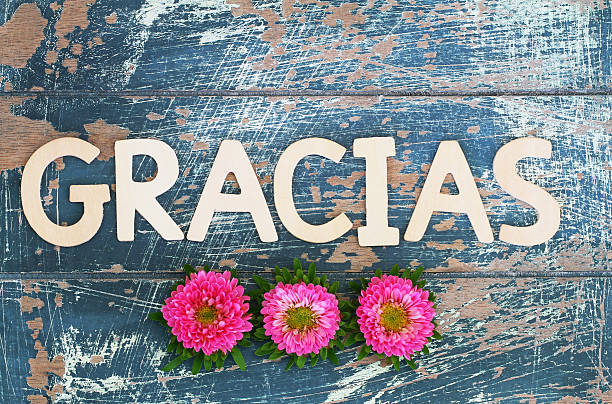 istock Gracias (thank you in Spanish) written with wooden letters, daisies 515000952