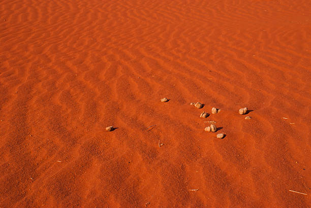 istock orange desert's dune background, wadi rum 515003136