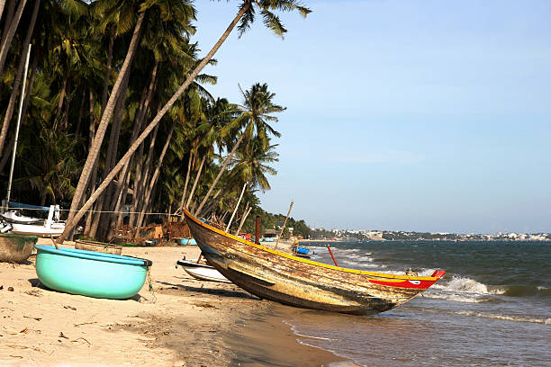 istock Wooden boats under palm trees on tropical beach 515003194