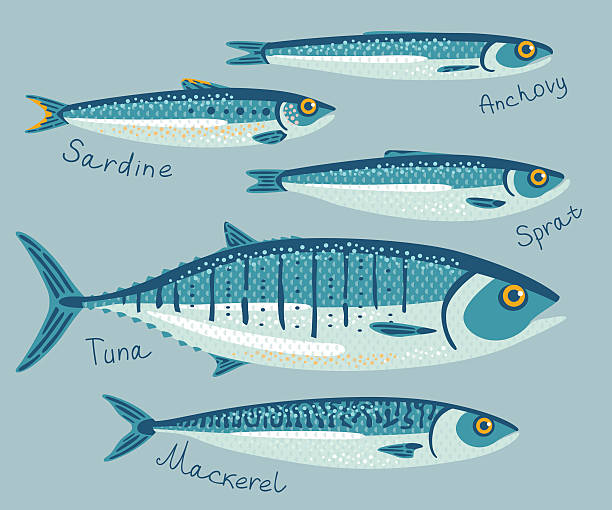 stockillustraties, clipart, cartoons en iconen met fish collection for conservation. - makreel