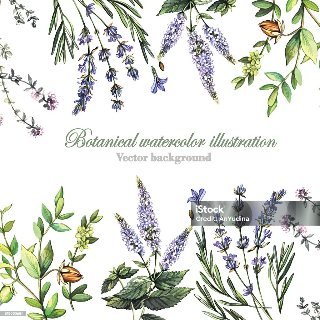 Fondo con plantas decorativas médicos - arte vectorial de Lavanda - Planta libre de derechos