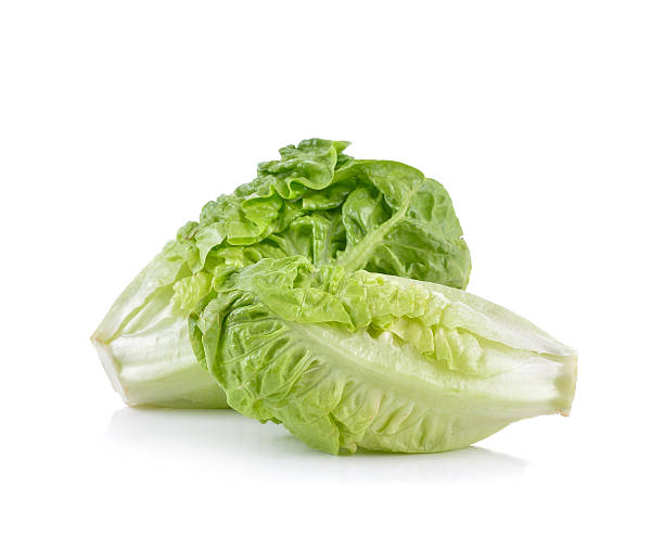 istock fresh baby cos (lettuce) on white background 515006790