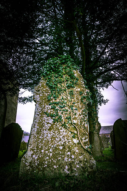istock Weathered and overgrown old headstone at cemetery 515007210