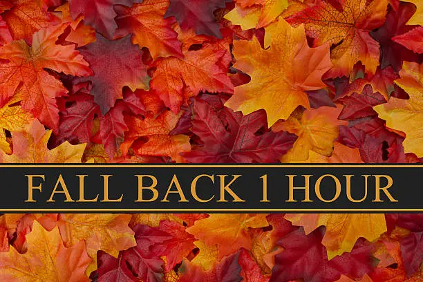 Fall Back Time Change Message, Fall Leaves Background and text Fall Back 1 Hour