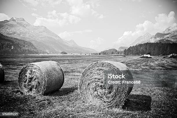 Walking Around Sils Lake Switzerland Europe Stock Photo - Download Image Now - Beauty In Nature, Corvatsch, Eco Tourism