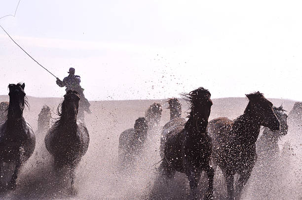 istock Morning of The Ulan integration grassland 515009897