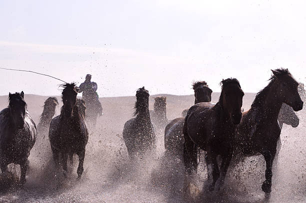 istock Morning of The Ulan integration grassland 515009899