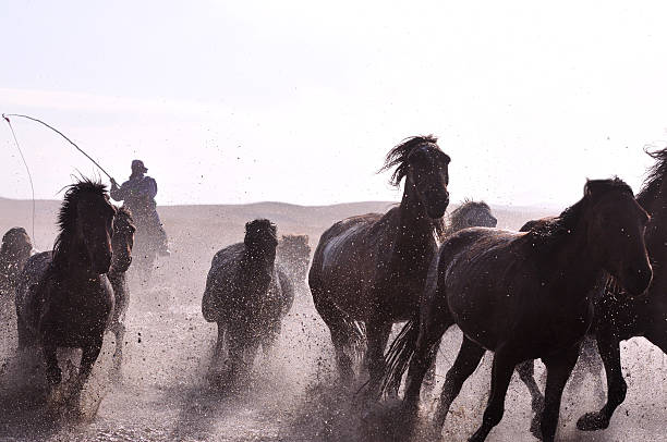 istock Morning of The Ulan integration grassland 515009901