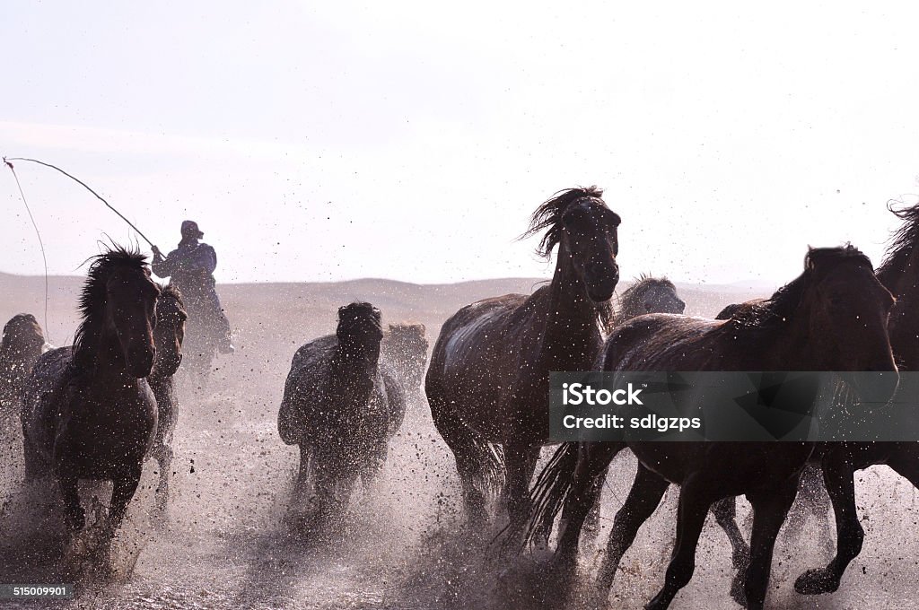 Morning of The Ulan integration grassland The Ulan integration grassland of  Hexigten Banner,  Chifeng  city, Inner Mongolia Autonomous Region  Activity Stock Photo