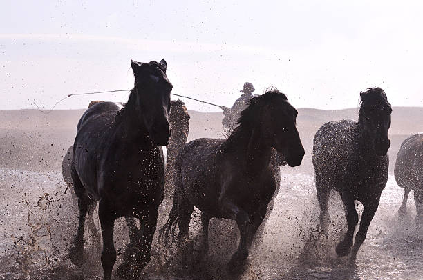istock Morning of The Ulan integration grassland 515009905