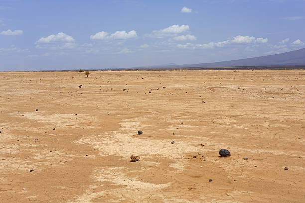 trockenen landschaft in die danakil wüste – äthiopien. 0188 - afar desert stock-fotos und bilder