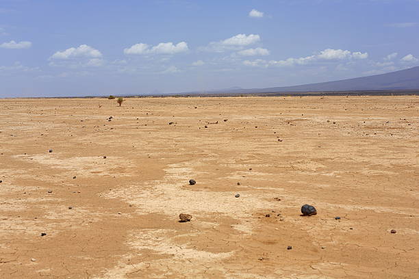 secar en el paisaje del desierto danakil de etiopía. 0188 - mud terrain fotografías e imágenes de stock