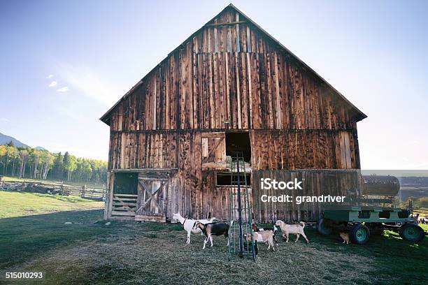 Colorado Mountain Ranch In Autumn Stock Photo - Download Image Now - Agricultural Field, Agriculture, Autumn