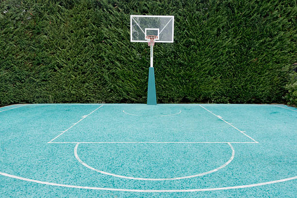 istock Basketball court in the backyard 515010349