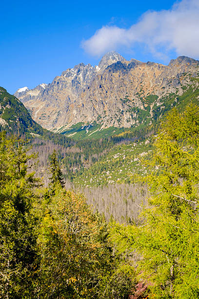 alto, vysoke tatry de tatra - narodni park imagens e fotografias de stock