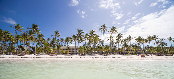 カリブ海のビーチ ストックフォト